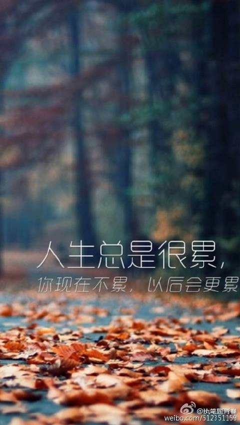 不是逆来顺受,而是心甘情愿任何事情,只要心甘情愿