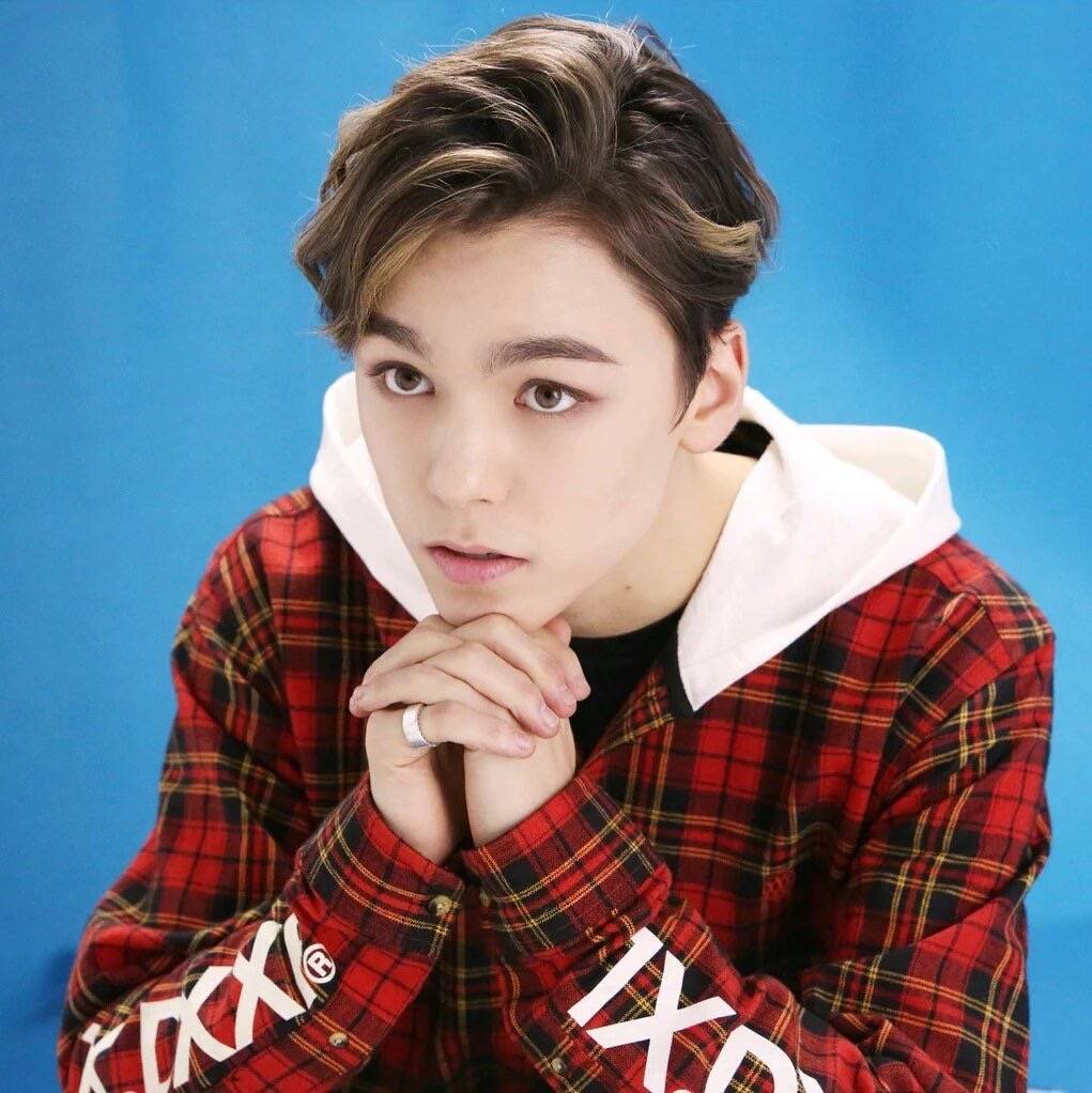 《q&a》活动期间 seventeen(vernon)