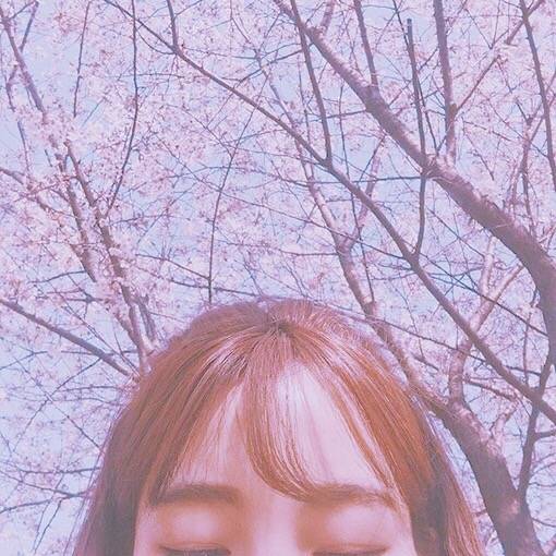 樱花季女头
