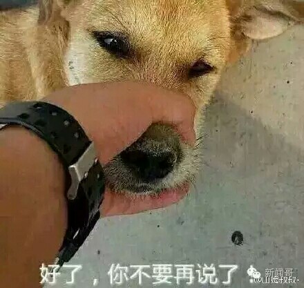 闭嘴