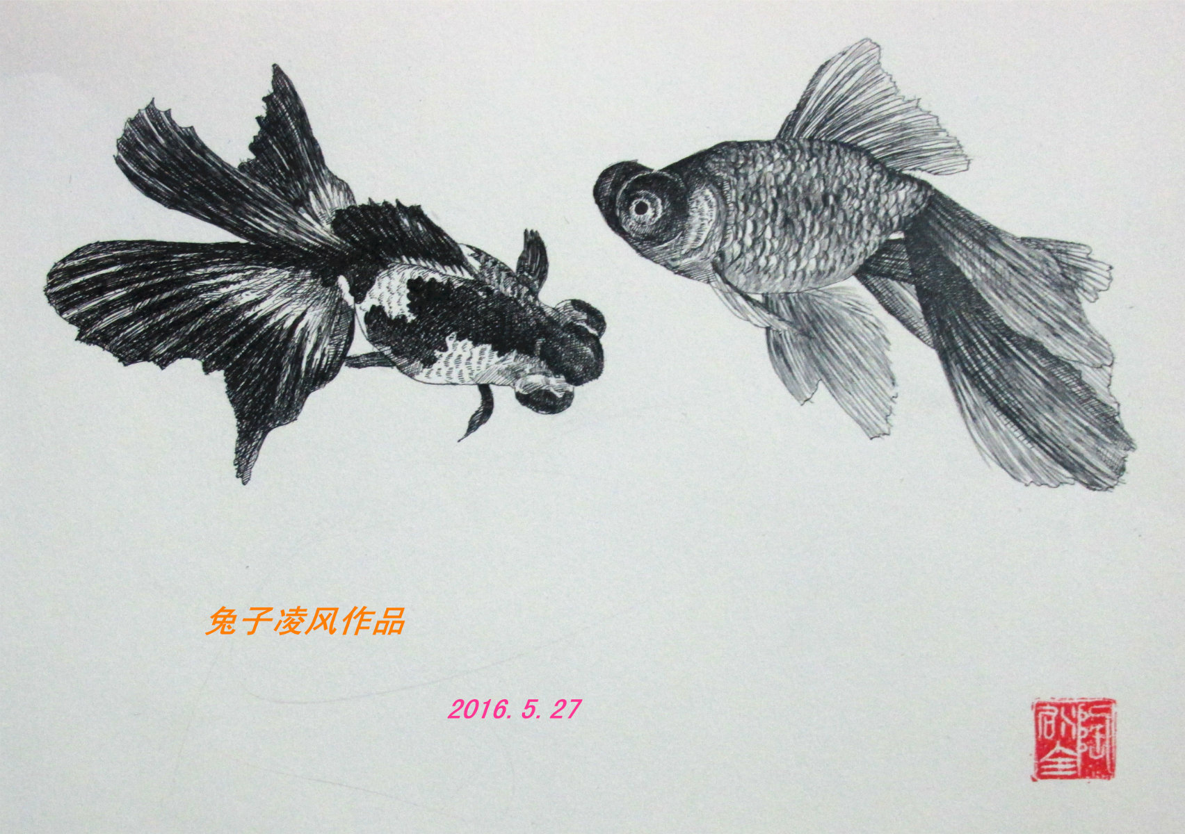 兔子凌风(陶启全)中性笔画手绘画画艺术