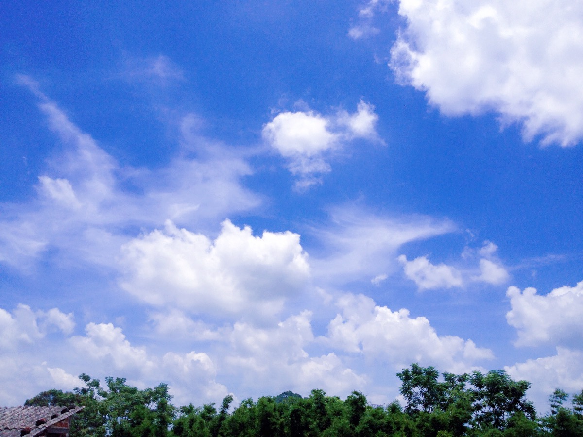 蓝蓝的天空白白的云