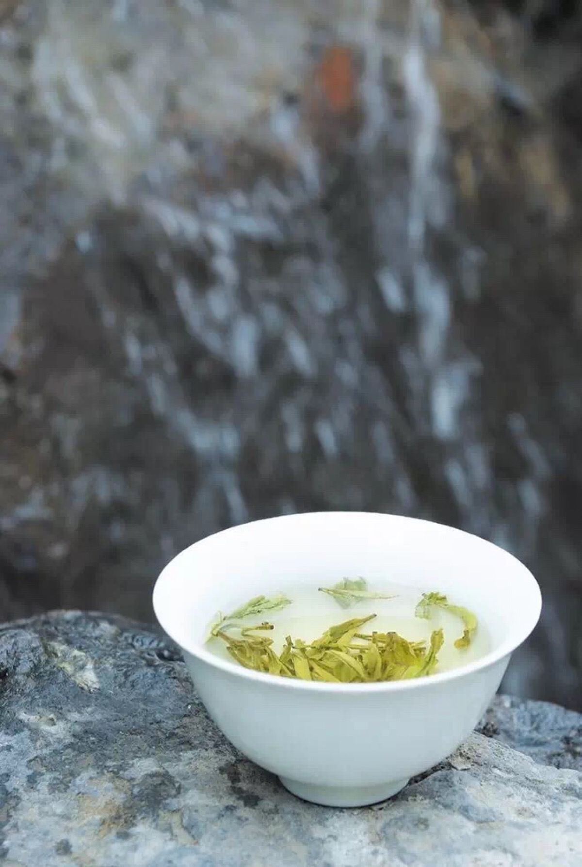 夏日,静茶.