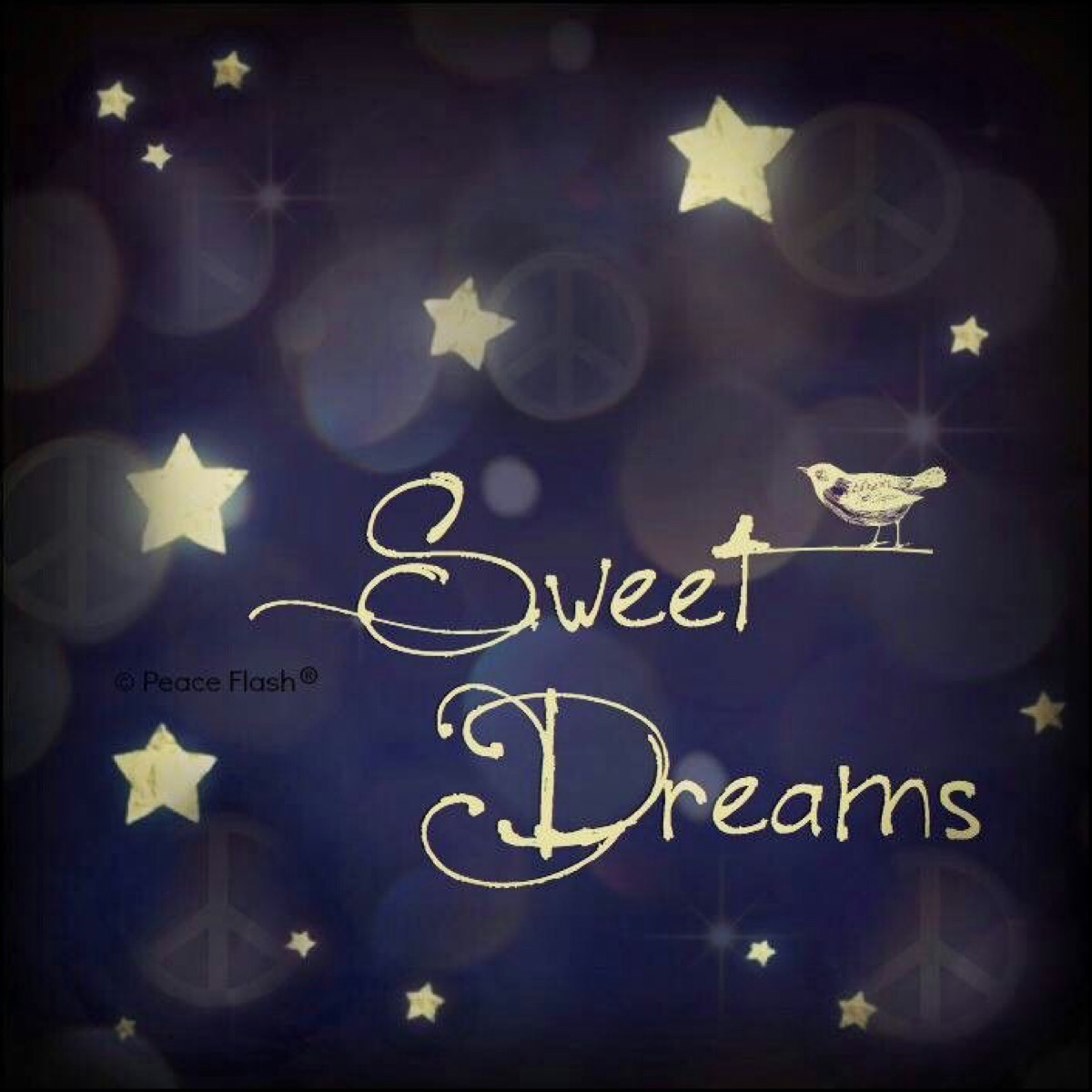 goodnight & sweet dreams