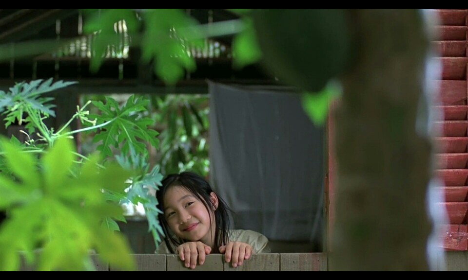越南电影《青木瓜之味》奥斯卡外国电影提名.