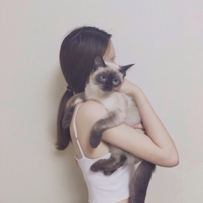 与心爱的猫猫 猫咪 合照的头像你有多少!