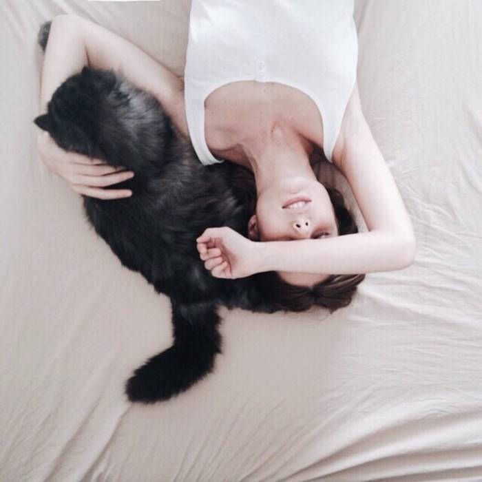 与心爱的猫猫 猫咪 合照的头像你有多少!