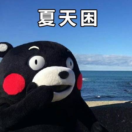 【熊本熊系列】夏天困
