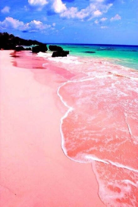 lake hillier,来自幻想世界的粉色玫瑰湖