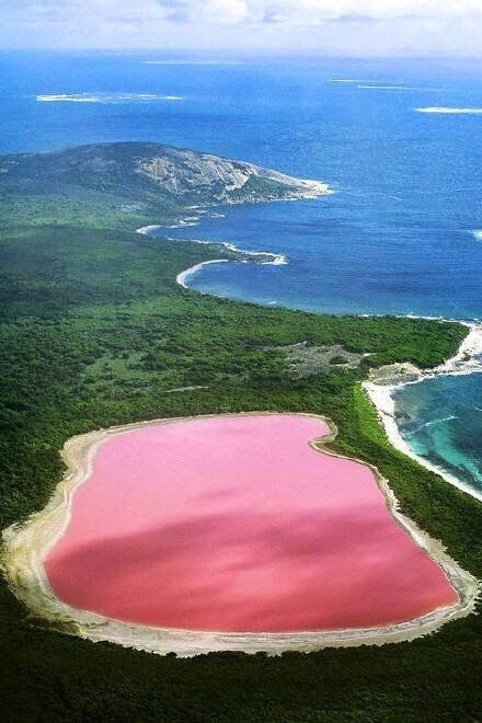 岛屿上有一座粉色瑰丽的咸水湖泊,lake hillier,来自幻想世界的粉色