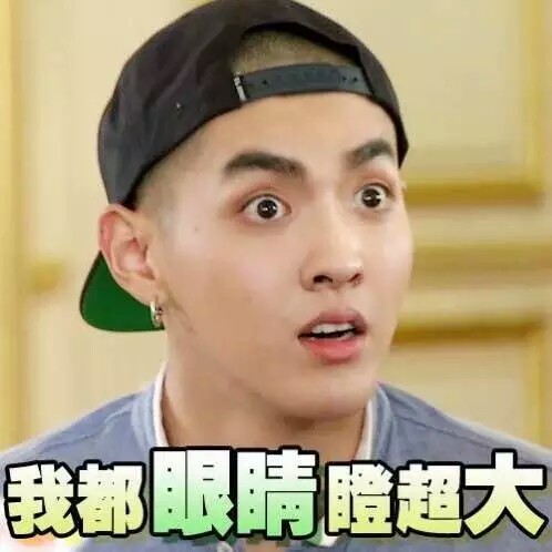 表情包 吴亦凡 kris