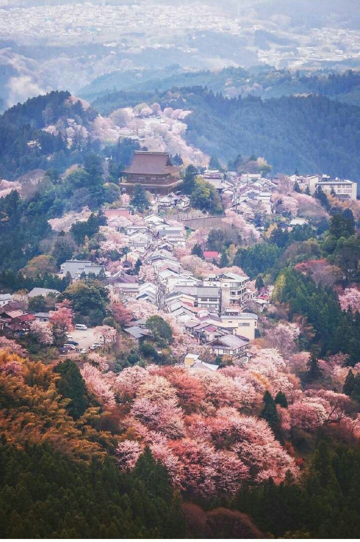 和风