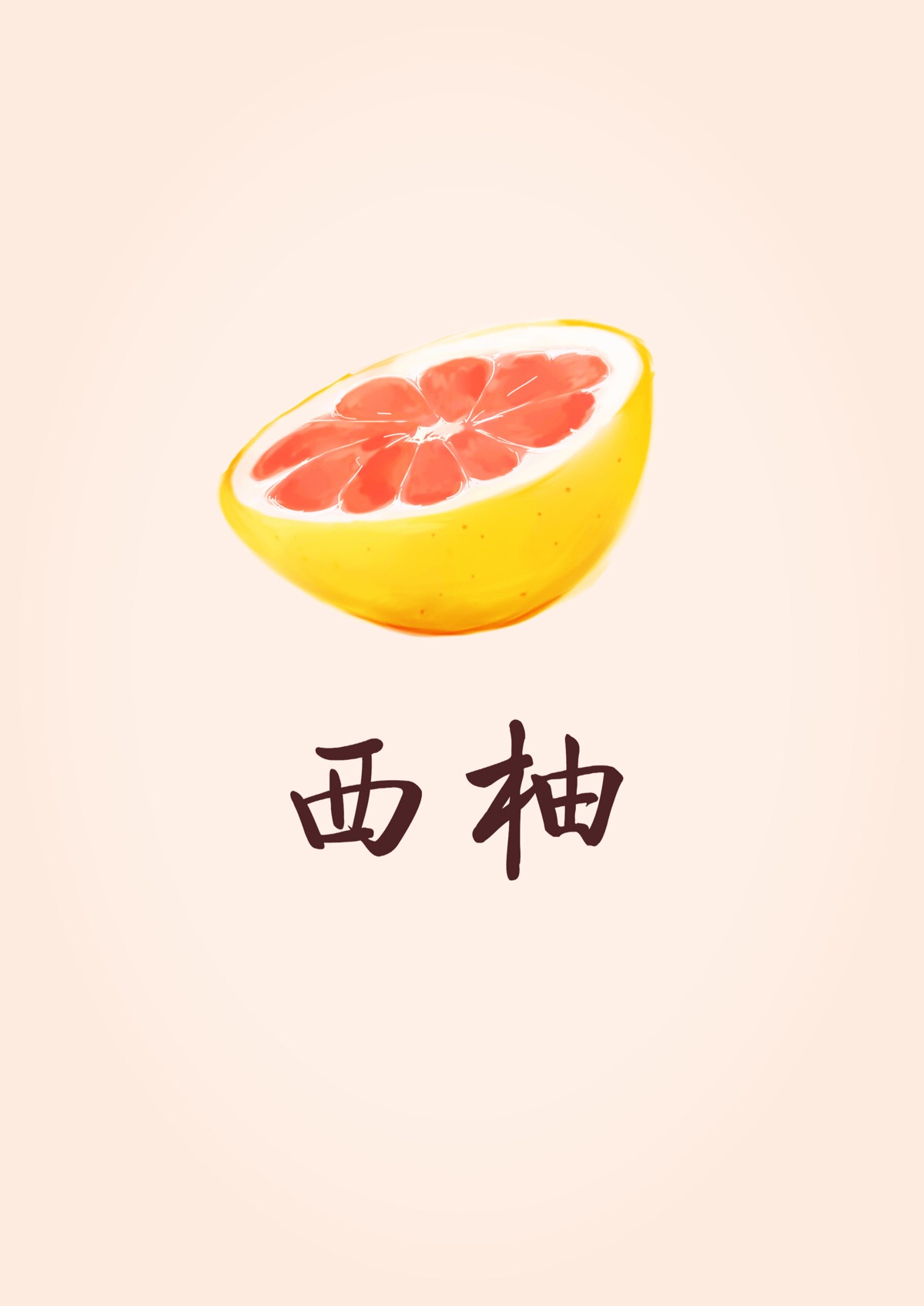 西柚