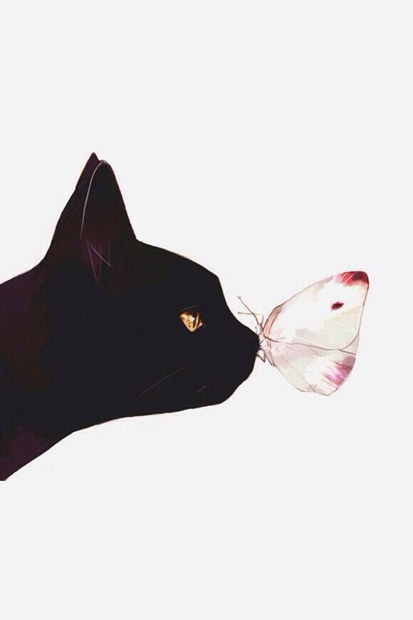 黑猫,壁纸