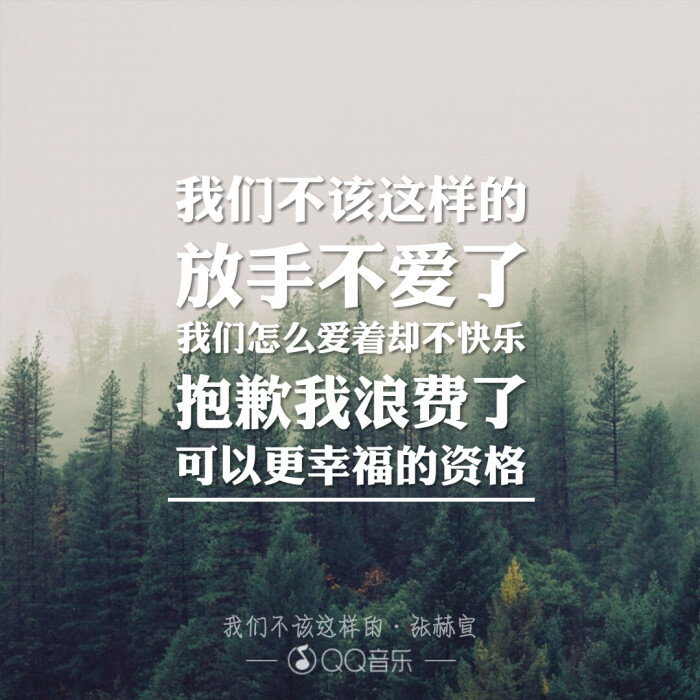 歌词·海报《我们不该这样的》__张赫宣