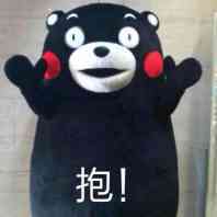熊本熊#表情包#头像#萌萌哒