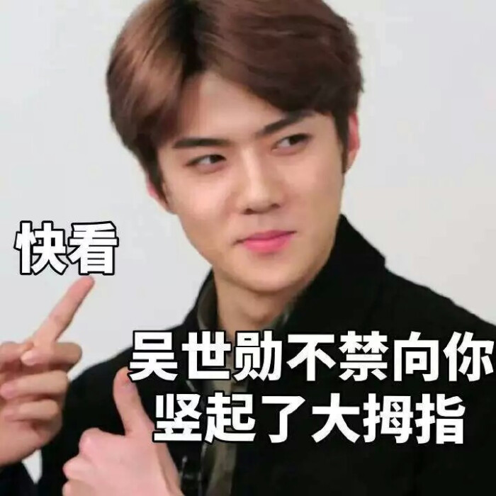 exo吴世勋sehun表情包