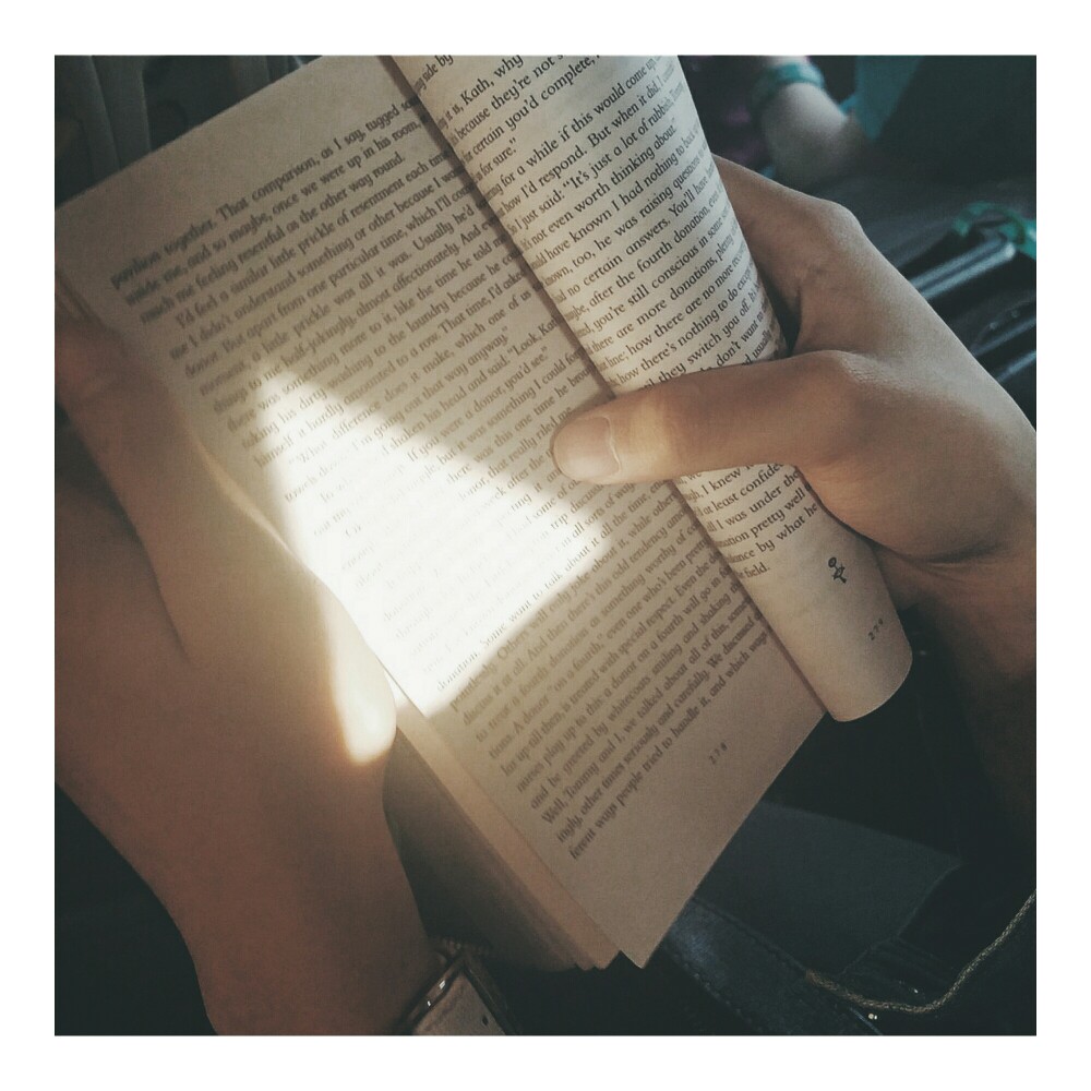 旅途中认真读书的ivanka 和认真看她读书的我