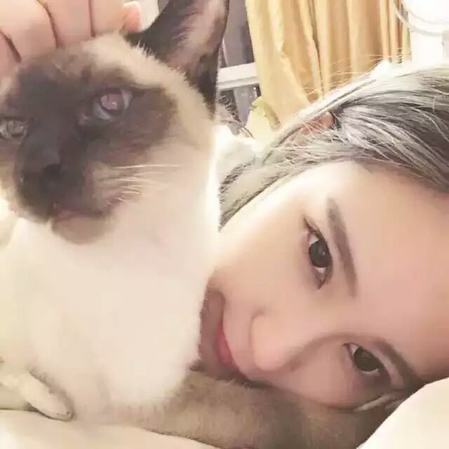 性毓的繁图集 女头 头像 软妹 甜女 猫奴