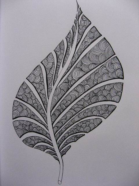 黑白 线条 手绘明信片素材 叶子