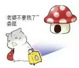 hamham情侣仓鼠表情包