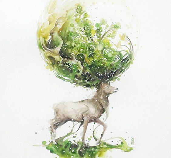 梦幻唯美的动物水彩插画.丨来自美国插画师luqman reza.