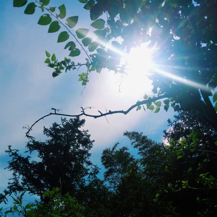 有时候阳光太好也不是一件好事比如夏天