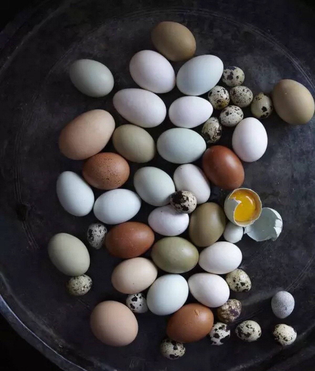 各种蛋 