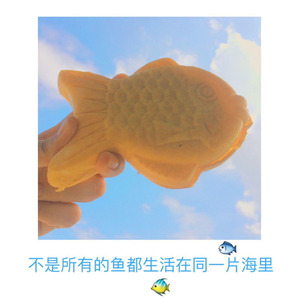 不是所有的鱼都生活在同一片海里