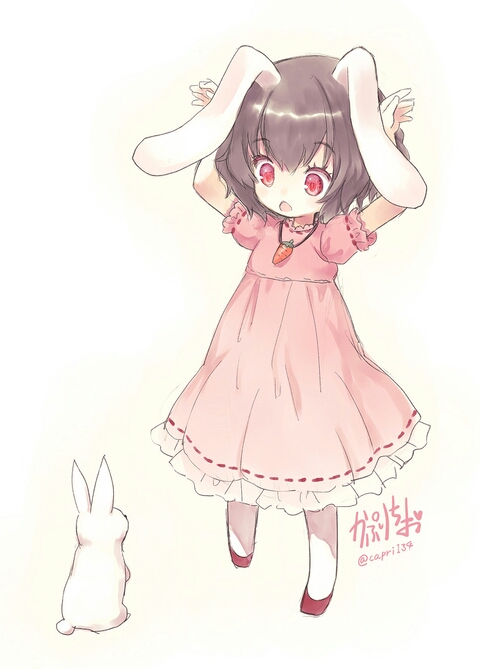 兔兔,你看我也是一只兔兔哦