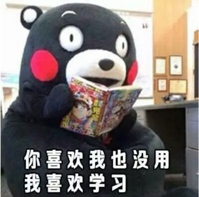 我爱学习 表情包