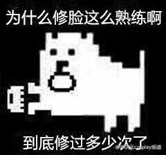 波动狗表情包