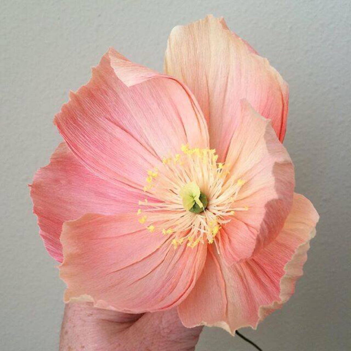 纸艺花 