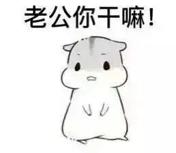 可爱仓鼠【表情包可爱萌卡通动漫gif纯文字污金馆长熊猫头蘑菇头弊哌