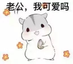 可爱仓鼠【表情包可爱萌卡通动漫gif纯文字污金馆长熊猫头蘑菇头暴走