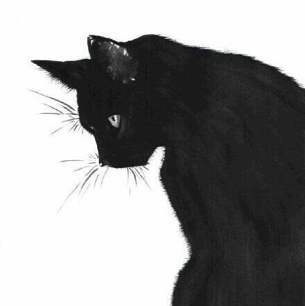 头像 黑猫 手绘 插画