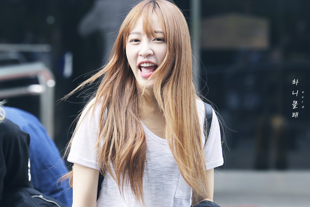 安喜延 hani exid