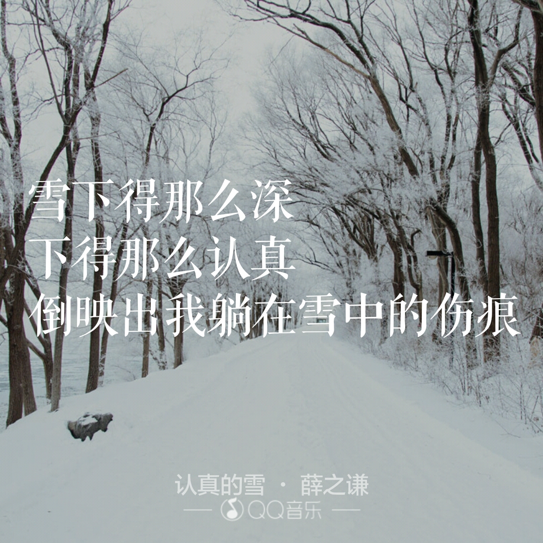 认真的雪-薛之谦