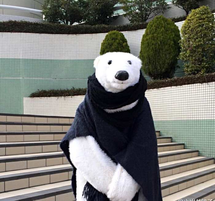 白熊
