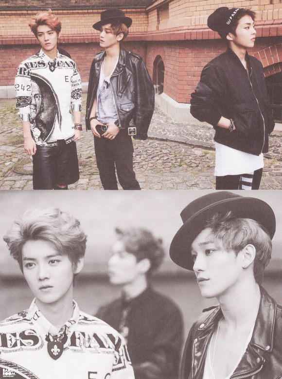 luhan(鹿晗),lay(张艺兴),tao(黄子韬),chen(金钟大),xiumin(金珉锡)