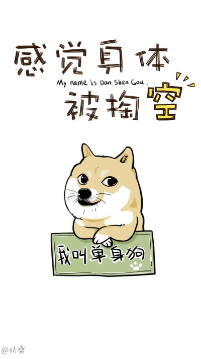 珍爱生命,关爱单身汪.
