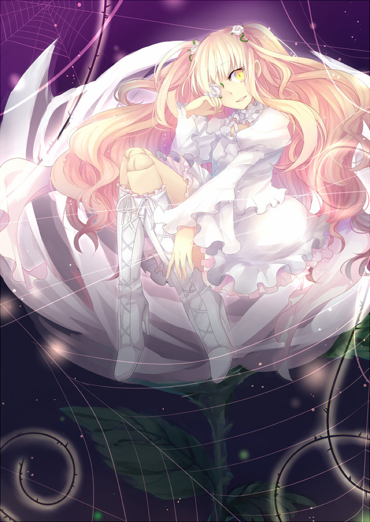 rozen maiden[蔷薇少女系列真正的第七人偶 雪华绮晶]