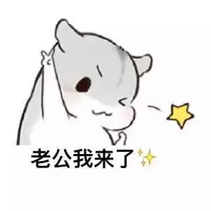 老公我来了(*07╰╯`)
