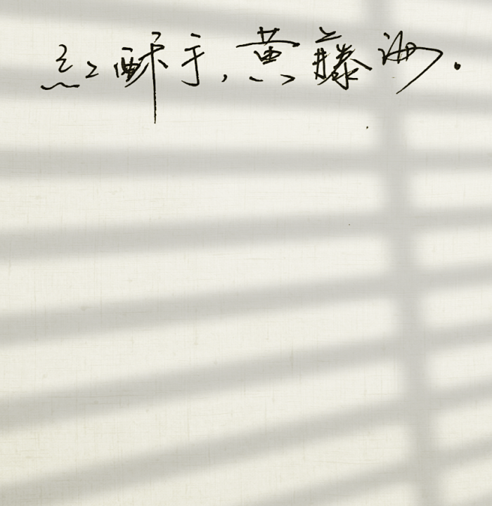 文字句子 歌词 手写 钢笔 菊花体 英文 歌词 背景图片 古风 黑白 闺密