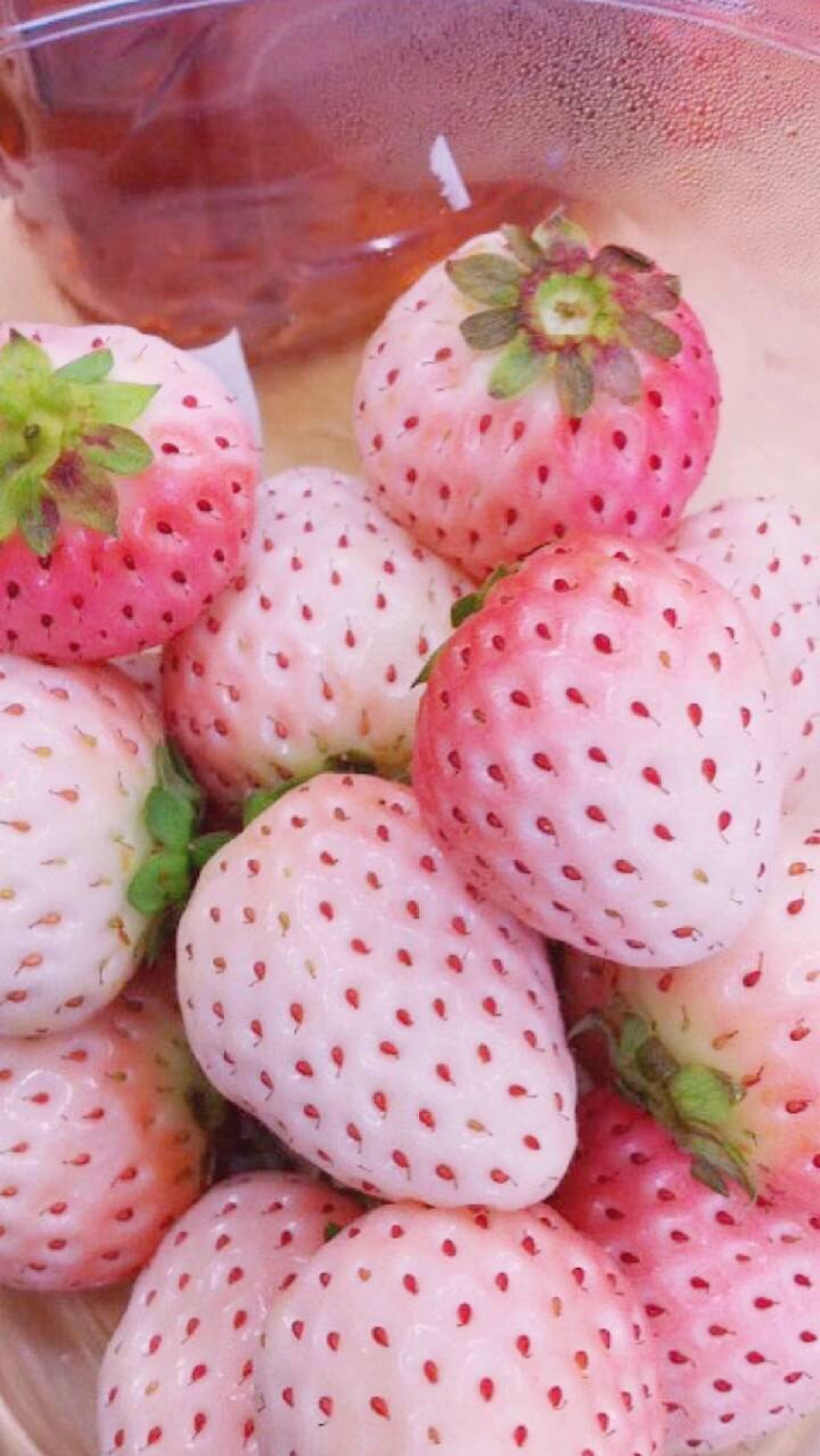 手机壁纸 草莓 少女心 日系 韩系 小清新