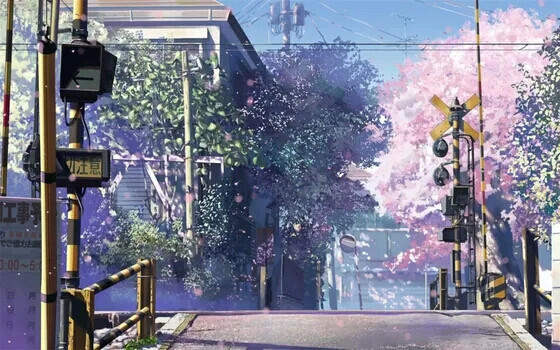 日文 樱花树 街道