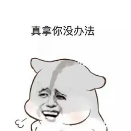 意境 美图 同人 动物 键盘壁纸 大海 搞笑 gif 暴走漫画 文字控 斗图