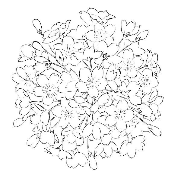 樱花 橡皮章