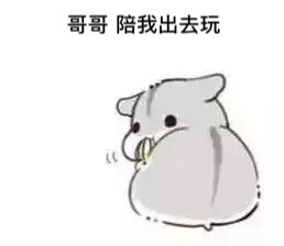 可爱仓鼠兄妹表情包