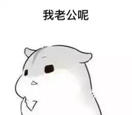仓鼠表情包